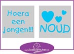 Geboortesticker type 061